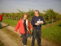 Fuchsjagd 2008