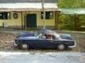Fuchsjagd 2008