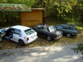 Fuchsjagd 2008