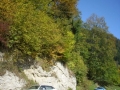 Fuchsjagd 2010