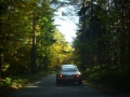Fuchsjagd 2010