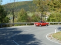 Fuchsjagd 2011