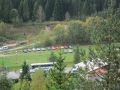 Fuchsjagd 2012