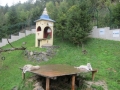 Fuchsjagd 2012