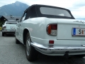 Internationales Treffen 2013