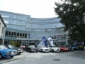 Internationales Treffen 2013