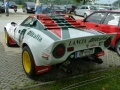 Internationales Treffen 2013
