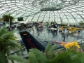 Internationales Treffen 2013