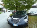 Internationales Treffen 2013