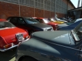Lancia Treffen Italien 2011