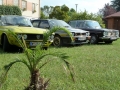 Lancia Treffen Italien 2011