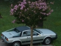 Lancia Treffen Italien 2011
