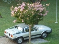 Lancia Treffen Italien 2011