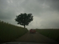 Sommerausfahrt 2010