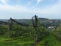 beim Haus des Apfels