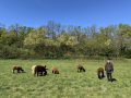 Alpaka-Ranch von Andreas Widhalm