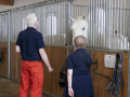 Trainingszentrum der Spanischen Hofreitschule