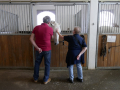 Trainingszentrum der Spanischen Hofreitschule