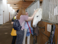 Trainingszentrum der Spanischen Hofreitschule