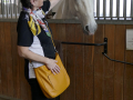 Trainingszentrum der Spanischen Hofreitschule
