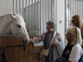 Trainingszentrum der Spanischen Hofreitschule