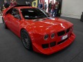 Grassi 044