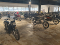 Cento Miglia d’Olanda 2023