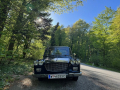 Flavia Bj 1965