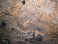 Frühjahrsausfahrt 2006