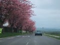 Frühjahrsausfahrt 2013