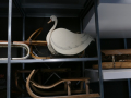 WinterSportMuseum  in Mürzzuschlag