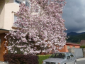 Café Barletti in Langenwang