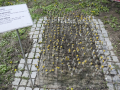 Stoppelfeld