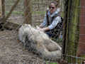 Wolfsforschungszentrum Ernstbrunn