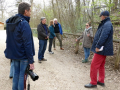 Wolfsforschungszentrum Ernstbrunn