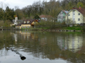 Wolfsforschungszentrum Ernstbrunn