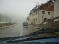 Fuchsjagd 2009