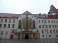 Die Burg Wr. Neustadt