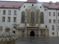 Die Burg Wr. Neustadt