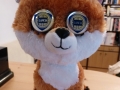 Fuchs-Trophäe