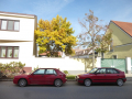 Frühstück in Gramatneusiedl