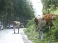 Sölkpass