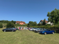 Straußenland in Schönberg am Kamp