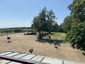 Straußenland in Schönberg am Kamp