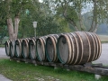 Internationales Treffen 2007