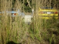 Internationales Treffen 2011