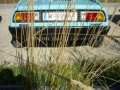 Internationales Treffen 2011