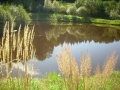 Internationales Treffen 2011