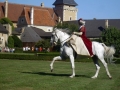 Internationales Treffen 2011