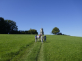 Aussichtswarte Mayrhofberg